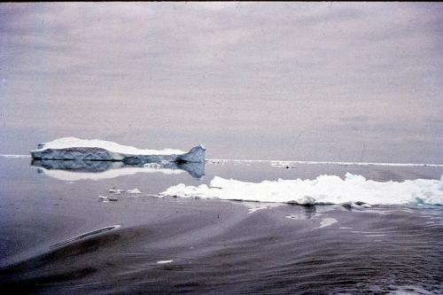 Isbjerge omkring Kista (foto Hans)