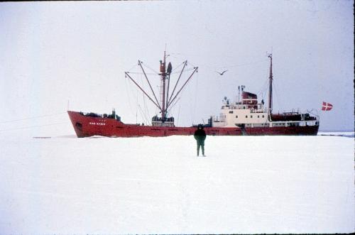 M/S Kista Dan  fortøjet med isanker 6 Km fra basen Halley Bay (foto Hans)