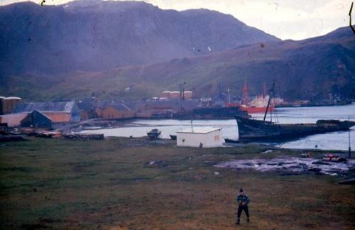 KistaDan-Grytviken-SouthGeorgiaAntarktis7