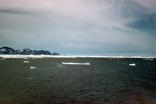 Møde med isen mod Scoresbysund (foto Hans )