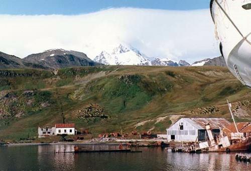 Norsk Hvalfangerstation Husvik (lånt foto)